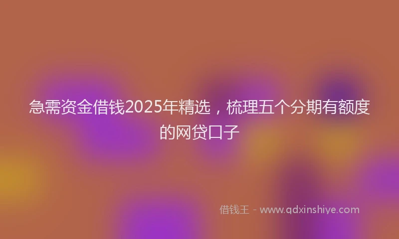 急需资金借钱2025年精选，梳理五个分期有额度的网贷口子