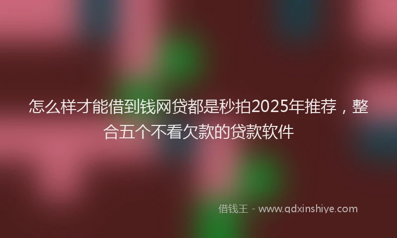 怎么样才能借到钱网贷都是秒拍2025年推荐，整合五个不看欠款的贷款软件