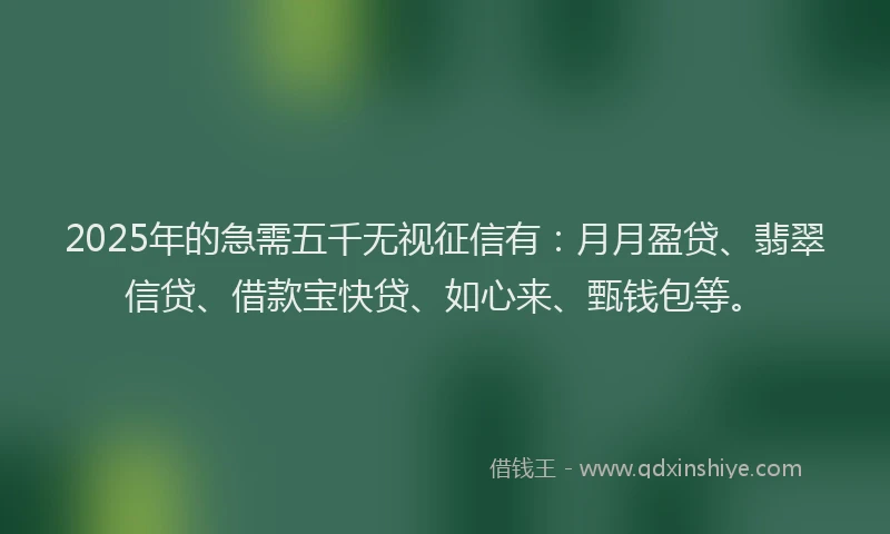 2025年的急需五千无视征信有:月月盈贷、翡翠信贷、借款宝快贷、如心来、甄钱包等。