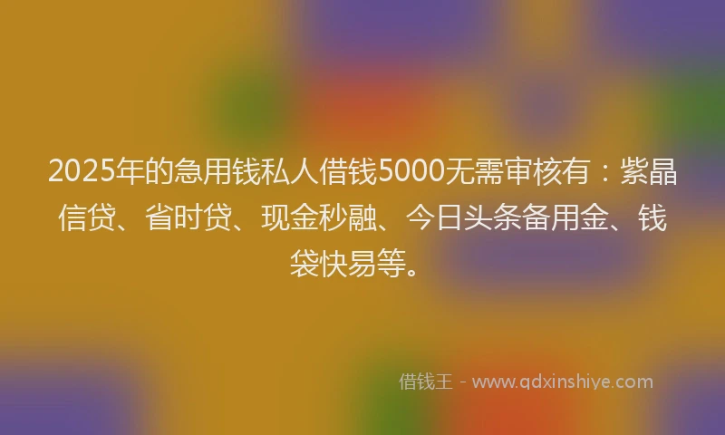2025年的急用钱私人借钱5000无需审核有：紫晶信贷、省时贷、现金秒融、今日头条备用金、钱袋快易等。