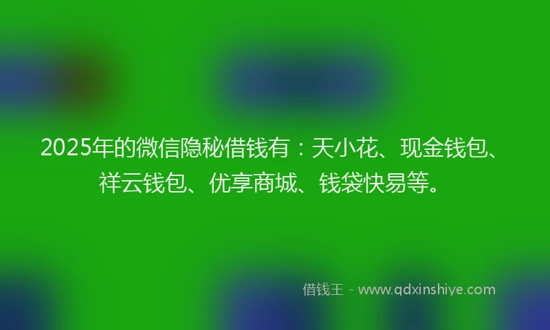 2025年的微信隐秘借钱有：天小花、现金钱包、祥云钱包、优享商城、钱袋快易等。