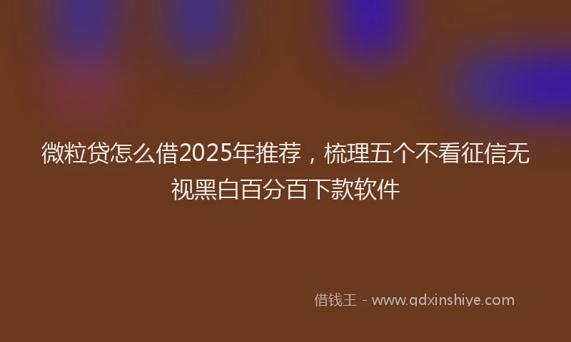 微粒贷怎么借2025年推荐，梳理五个不看征信无视黑白百分百下款软件