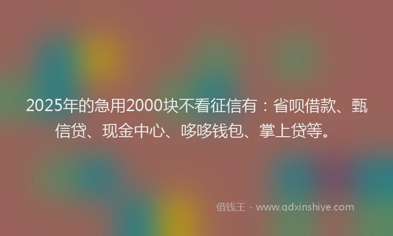 2025年的急用2000块不看征信有：省呗借款、甄信贷、现金中心、哆哆钱包、掌上贷等。