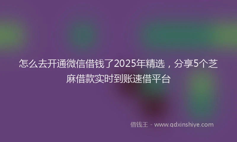 怎么去开通微信借钱了2025年精选，分享5个芝麻借款实时到账速借平台