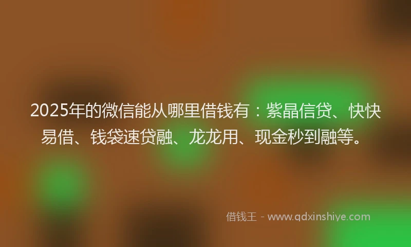 2025年的微信能从哪里借钱有：紫晶信贷、快快易借、钱袋速贷融、龙龙用、现金秒到融等。