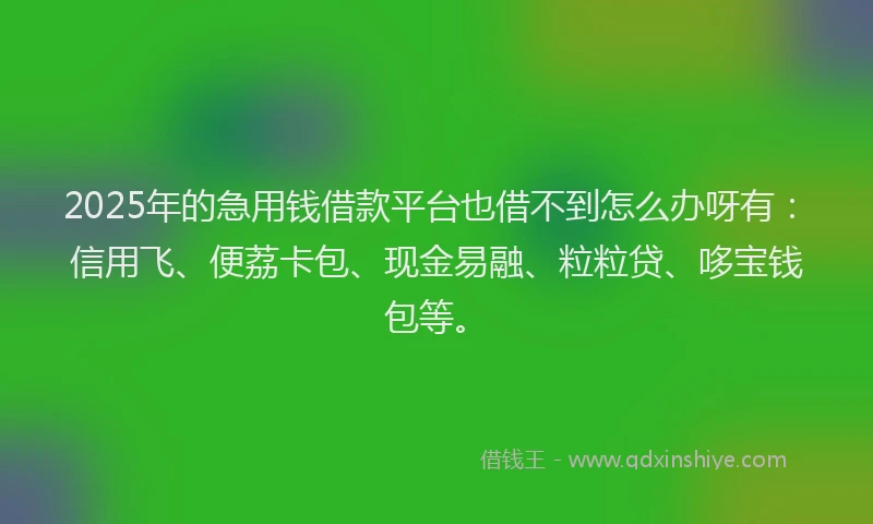 2025年的急用钱借款平台也借不到怎么办呀有：信用飞、便荔卡包、现金易融、粒粒贷、哆宝钱包等。