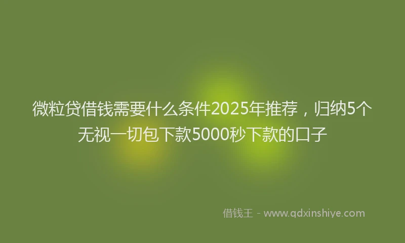 微粒贷借钱需要什么条件2025年推荐，归纳5个无视一切包下款5000秒下款的口子