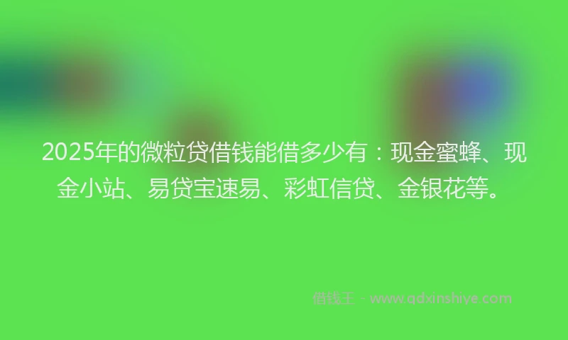 2025年的微粒贷借钱能借多少有：现金蜜蜂、现金小站、易贷宝速易、彩虹信贷、金银花等。