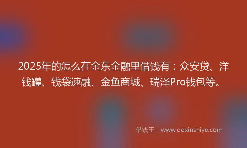 2025年的怎么在金东金融里借钱有：众安贷、洋钱罐、钱袋速融、金鱼商城、瑞泽Pro钱包等。
