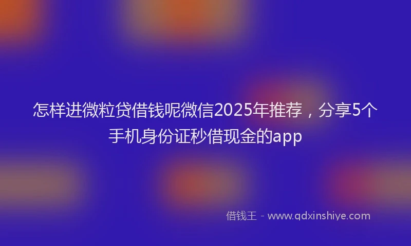 怎样进微粒贷借钱呢微信2025年推荐，分享5个手机身份证秒借现金的app