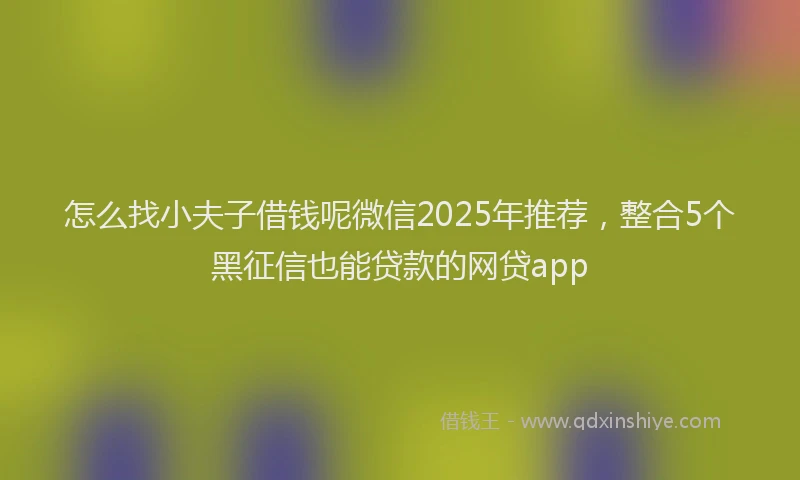 怎么找小夫子借钱呢微信2025年推荐，整合5个黑征信也能贷款的网贷app