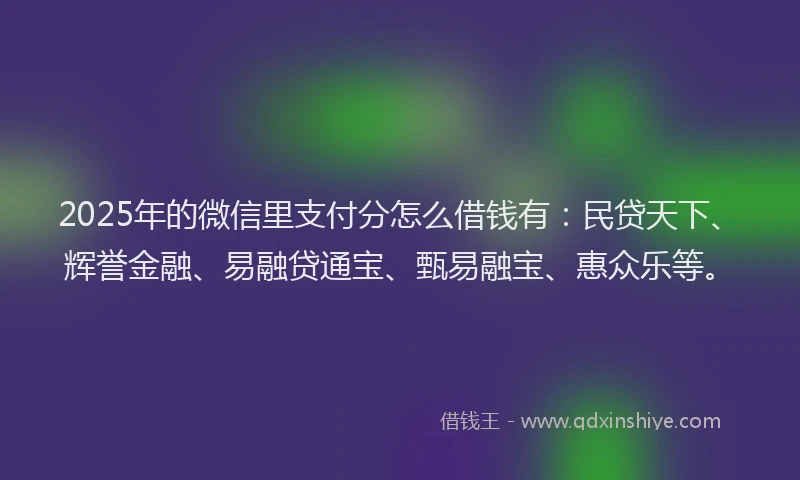 2025年的微信里支付分怎么借钱有：民贷天下、辉誉金融、易融贷通宝、甄易融宝、惠众乐等。
