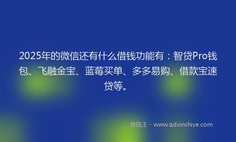 2025年的微信还有什么借钱功能有：智贷Pro钱包、飞融金宝、蓝莓买单、多多易购、借款宝速贷等。