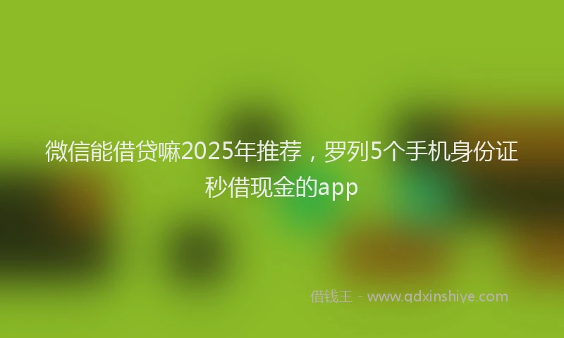 微信能借贷嘛2025年推荐，罗列5个手机身份证秒借现金的app
