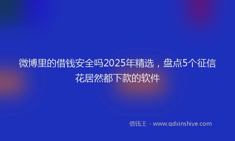 微博里的借钱安全吗2025年精选，盘点5个征信花居然都下款的软件