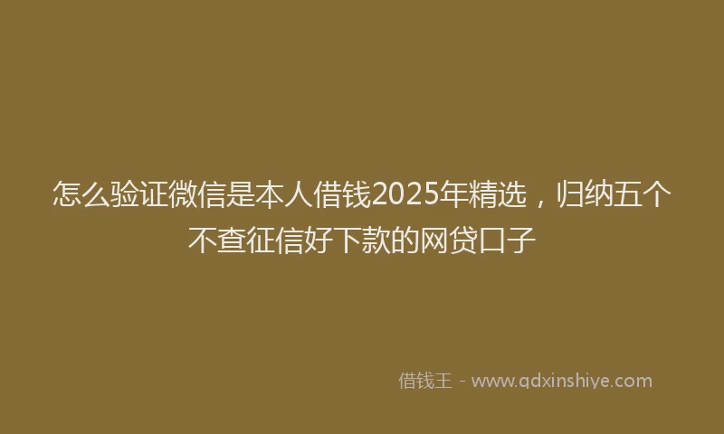 怎么验证微信是本人借钱2025年精选，归纳五个不查征信好下款的网贷口子