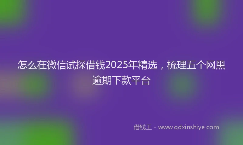 怎么在微信试探借钱2025年精选，梳理五个网黑逾期下款平台