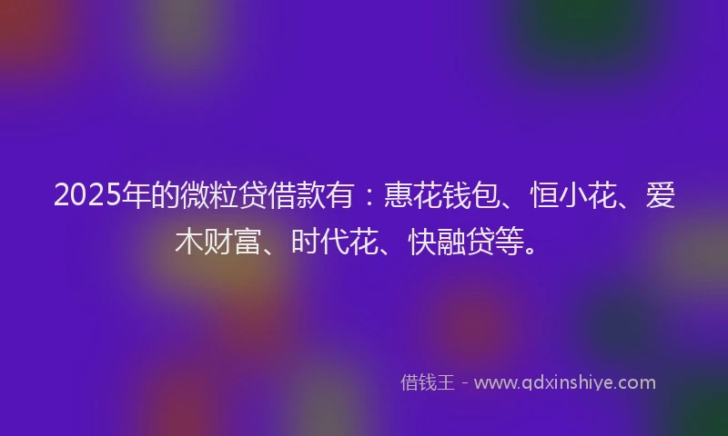 2025年的微粒贷借款有：惠花钱包、恒小花、爱木财富、时代花、快融贷等。