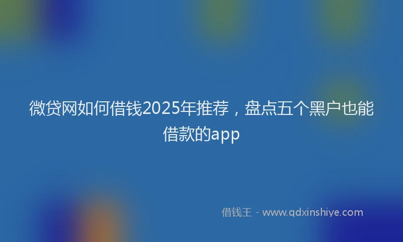 微贷网如何借钱2025年推荐，盘点五个黑户也能借款的app