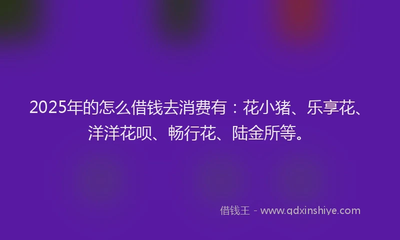 2025年的怎么借钱去消费有：花小猪、乐享花、洋洋花呗、畅行花、陆金所等。