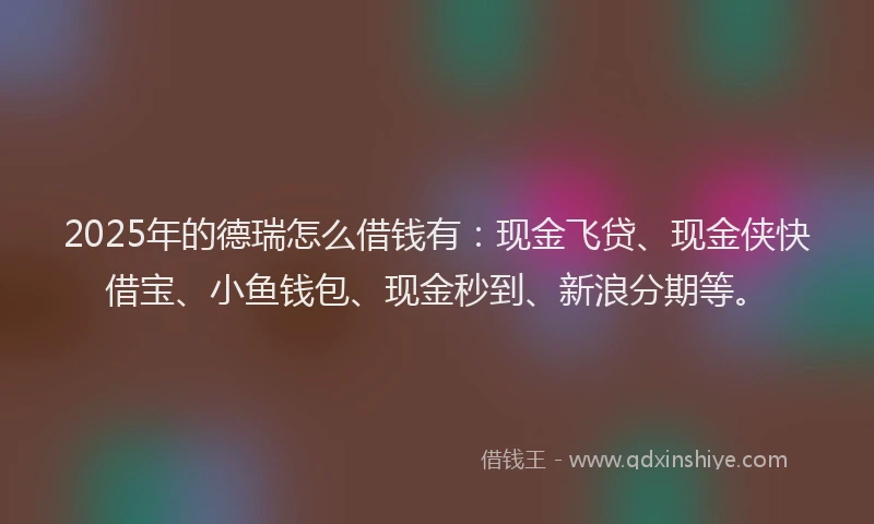2025年的德瑞怎么借钱有：现金飞贷、现金侠快借宝、小鱼钱包、现金秒到、新浪分期等。