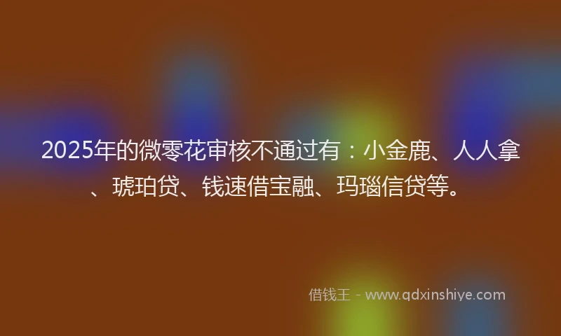 2025年的微零花审核不通过有：小金鹿、人人拿、琥珀贷、钱速借宝融、玛瑙信贷等。