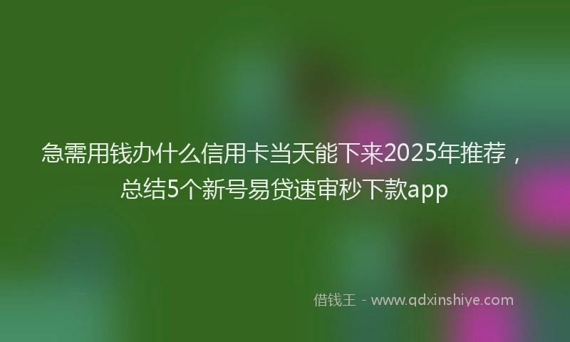 急需用钱办什么信用卡当天能下来2025年推荐，总结5个新号易贷速审秒下款app