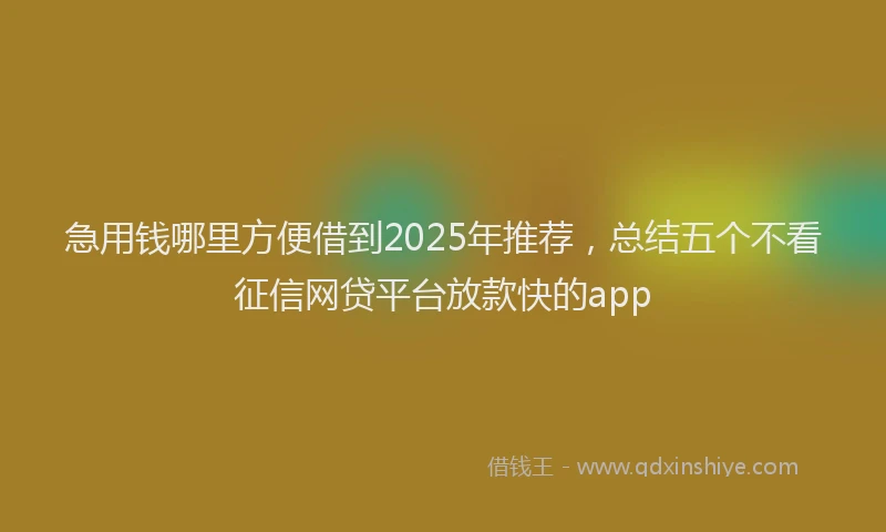 急用钱哪里方便借到2025年推荐，总结五个不看征信网贷平台放款快的app