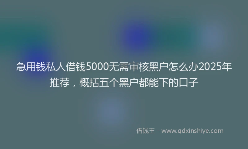 急用钱私人借钱5000无需审核黑户怎么办2025年推荐，概括五个黑户都能下的口子