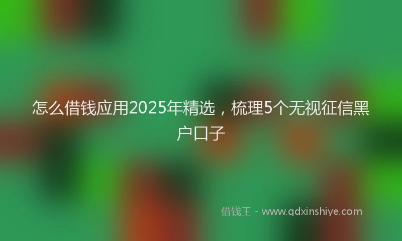 怎么借钱应用2025年精选，梳理5个无视征信黑户口子
