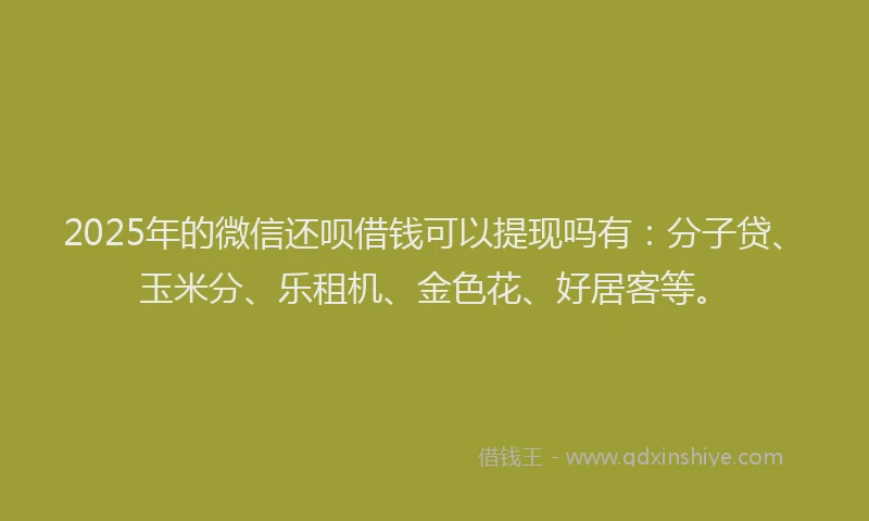 2025年的微信还呗借钱可以提现吗有：分子贷、玉米分、乐租机、金色花、好居客等。