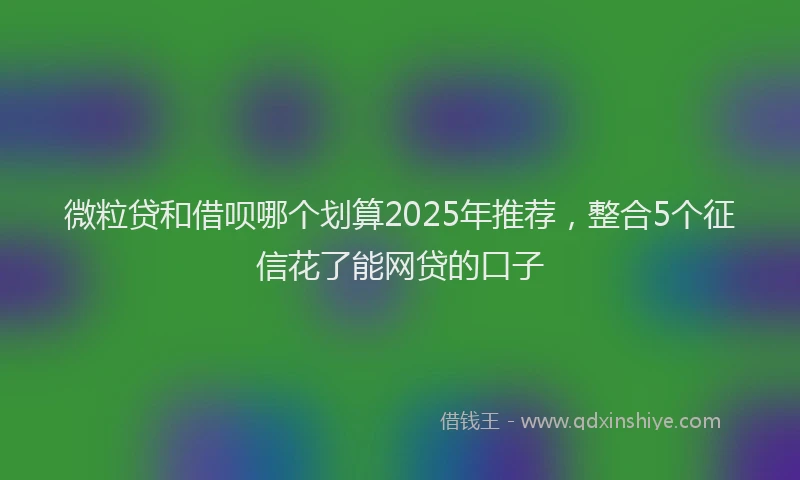 微粒贷和借呗哪个划算2025年推荐，整合5个征信花了能网贷的口子