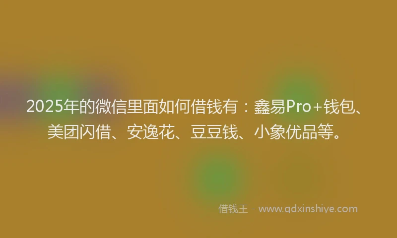 2025年的微信里面如何借钱有：鑫易Pro+钱包、美团闪借、安逸花、豆豆钱、小象优品等。