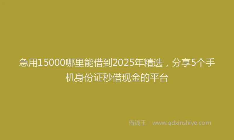 急用15000哪里能借到2025年精选，分享5个手机身份证秒借现金的平台