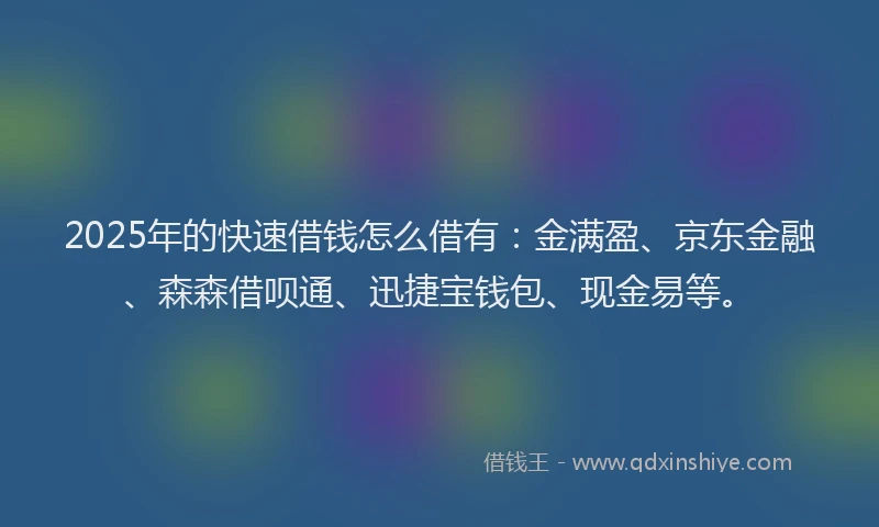 2025年的快速借钱怎么借有：金满盈、京东金融、森森借呗通、迅捷宝钱包、现金易等。
