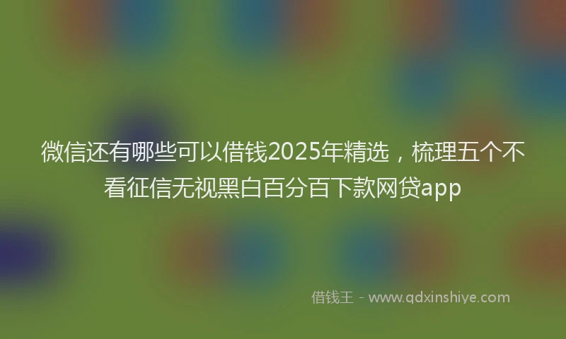 微信还有哪些可以借钱2025年精选，梳理五个不看征信无视黑白百分百下款网贷app