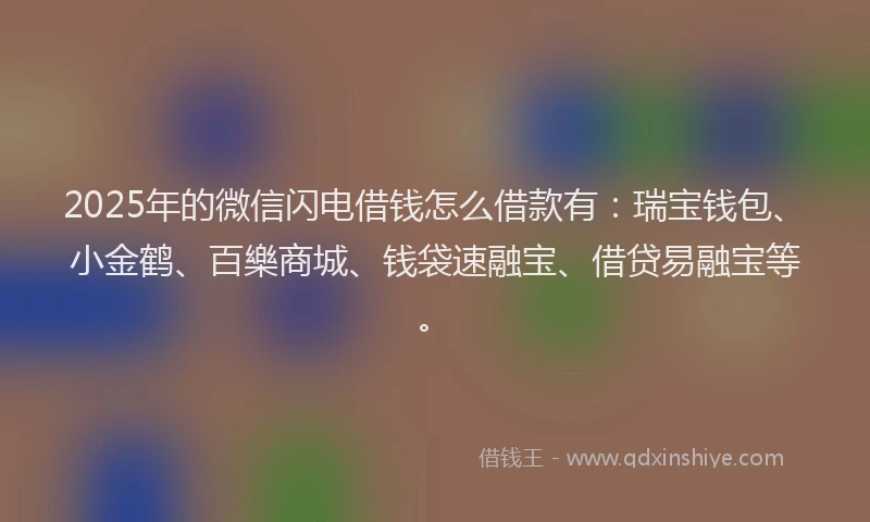 2025年的微信闪电借钱怎么借款有：瑞宝钱包、小金鹤、百樂商城、钱袋速融宝、借贷易融宝等。