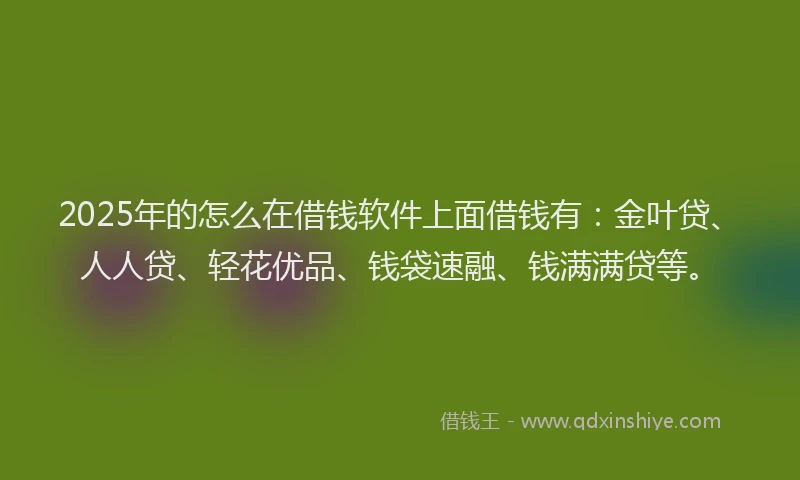 2025年的怎么在借钱软件上面借钱有：金叶贷、人人贷、轻花优品、钱袋速融、钱满满贷等。