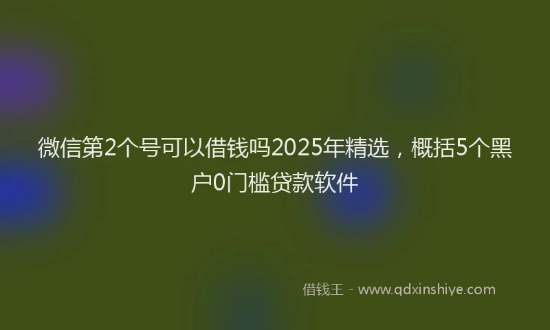 微信第2个号可以借钱吗2025年精选，概括5个黑户0门槛贷款软件