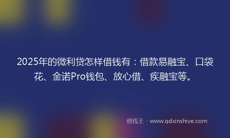 2025年的微利贷怎样借钱有：借款易融宝、口袋花、金诺Pro钱包、放心借、疾融宝等。