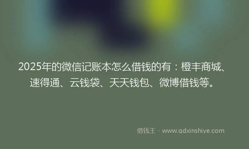 2025年的微信记账本怎么借钱的有：橙丰商城、速得通、云钱袋、天天钱包、微博借钱等。