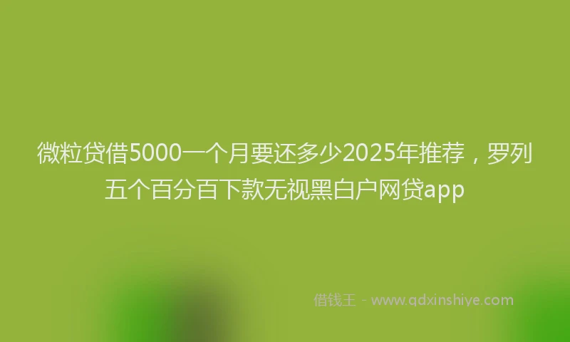 微粒贷借5000一个月要还多少2025年推荐，罗列五个百分百下款无视黑白户网贷app