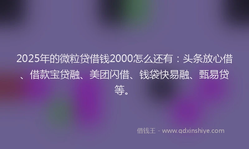 2025年的微粒贷借钱2000怎么还有：头条放心借、借款宝贷融、美团闪借、钱袋快易融、甄易贷等。
