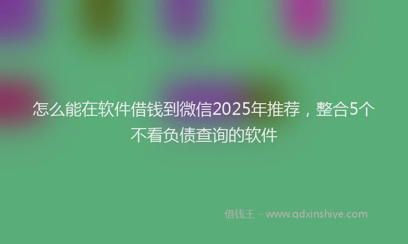 怎么能在软件借钱到微信2025年推荐，整合5个不看负债查询的软件