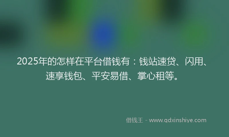 2025年的怎样在平台借钱有：钱站速贷、闪用、速享钱包、平安易借、掌心租等。
