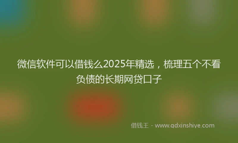 微信软件可以借钱么2025年精选，梳理五个不看负债的长期网贷口子