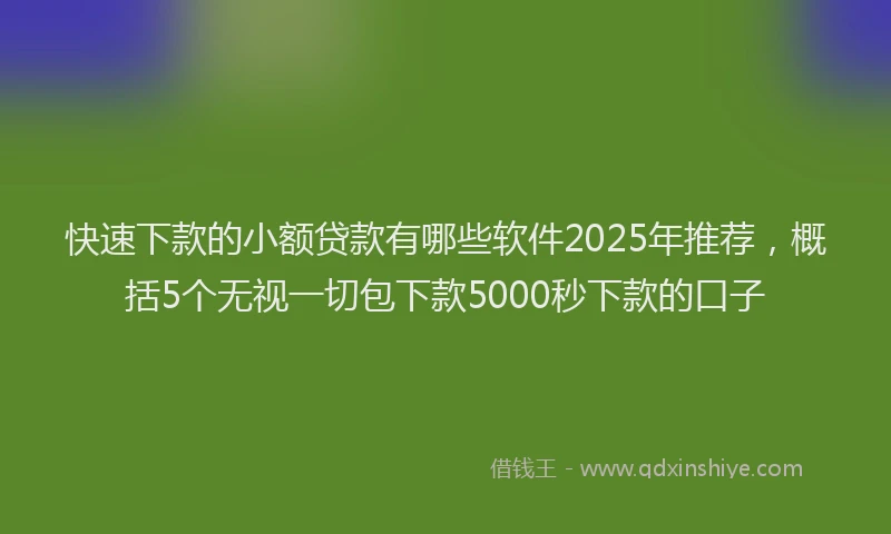 快速下款的小额贷款有哪些软件2025年推荐，概括5个无视一切包下款5000秒下款的口子