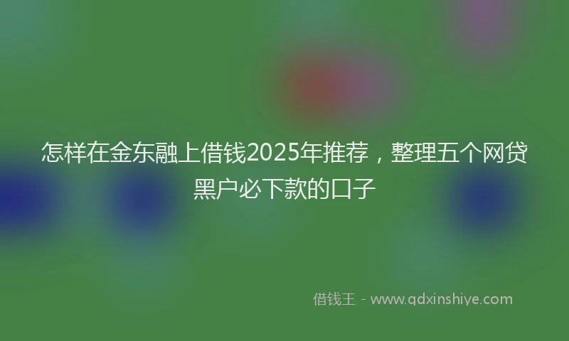 怎样在金东融上借钱2025年推荐，整理五个网贷黑户必下款的口子