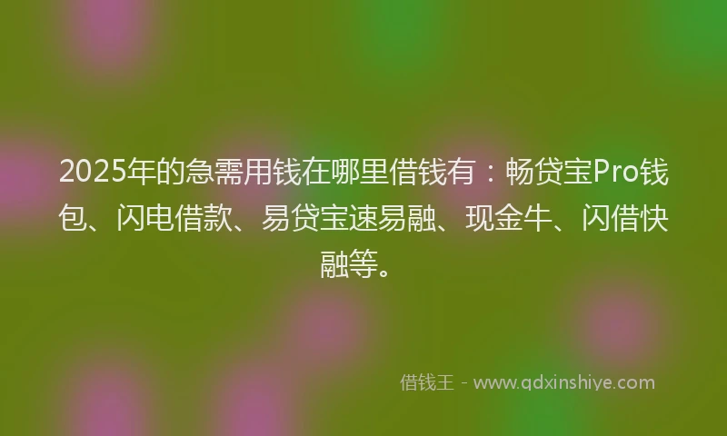 2025年的急需用钱在哪里借钱有：畅贷宝Pro钱包、闪电借款、易贷宝速易融、现金牛、闪借快融等。