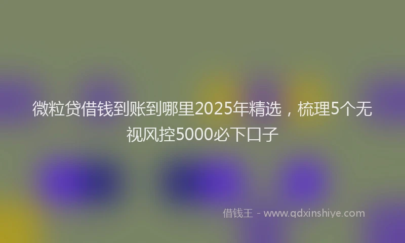 微粒贷借钱到账到哪里2025年精选，梳理5个无视风控5000必下口子